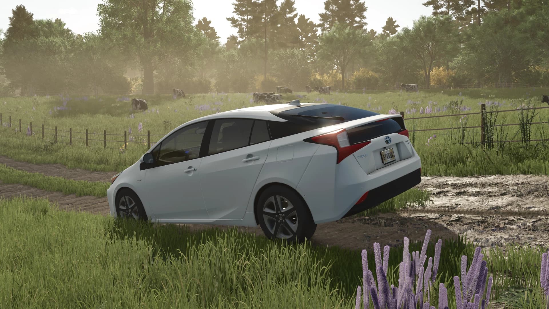 2019 Toyota Prius XLE 5