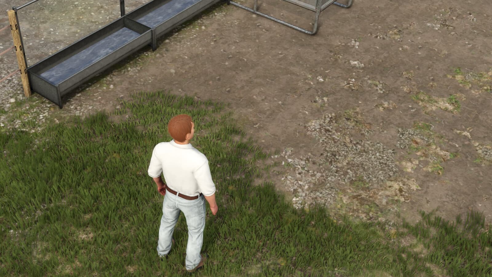 Automatic Drinking Trough 3