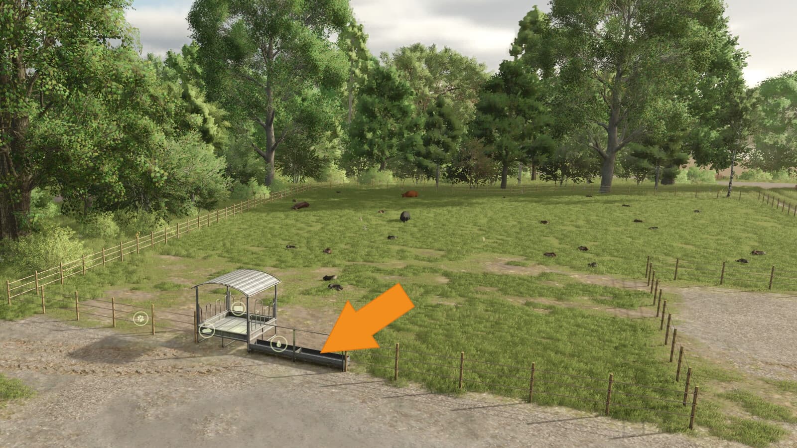 Automatic Drinking Trough