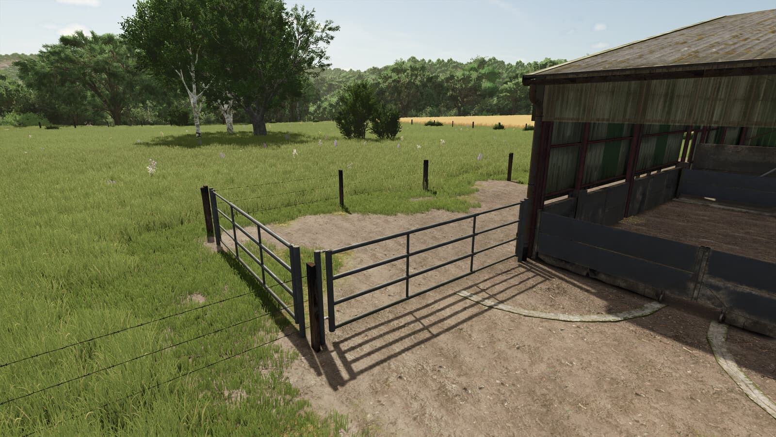 Cow Fences 3