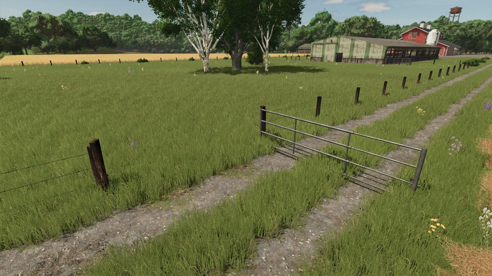 Cow Fences 2