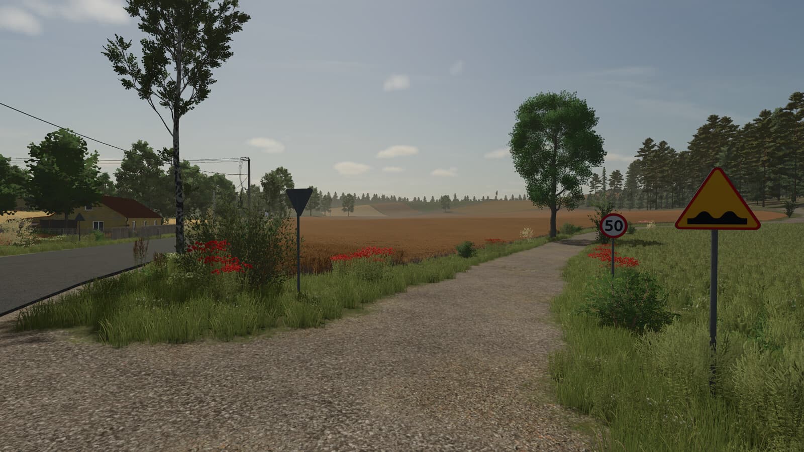 Cybuchowo 4
