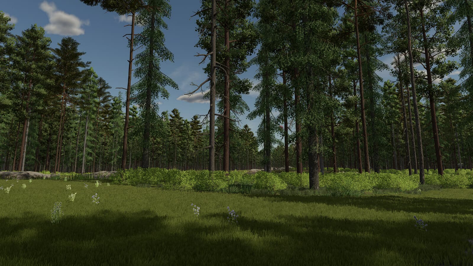 InTo The Woods 2