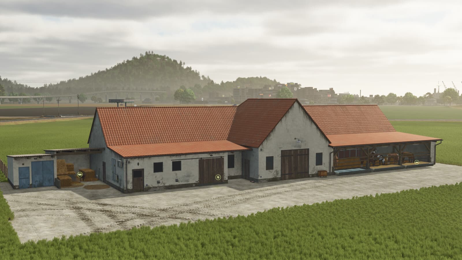 Lizard Animal Barns 5