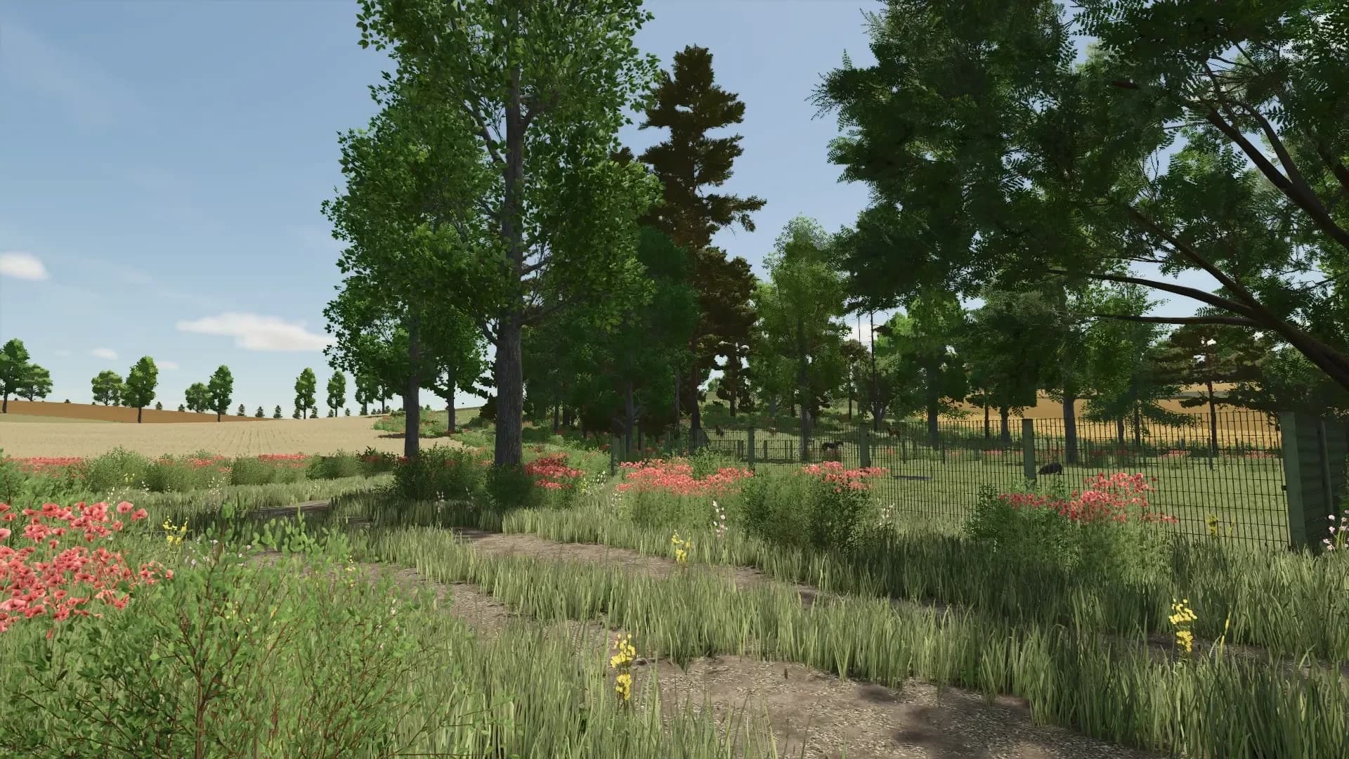 Map Feliz 7