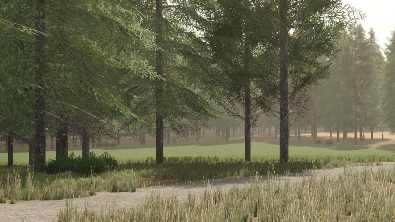 Pinewood Forest 4