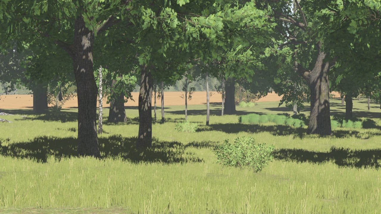 Pinewood Forest 3
