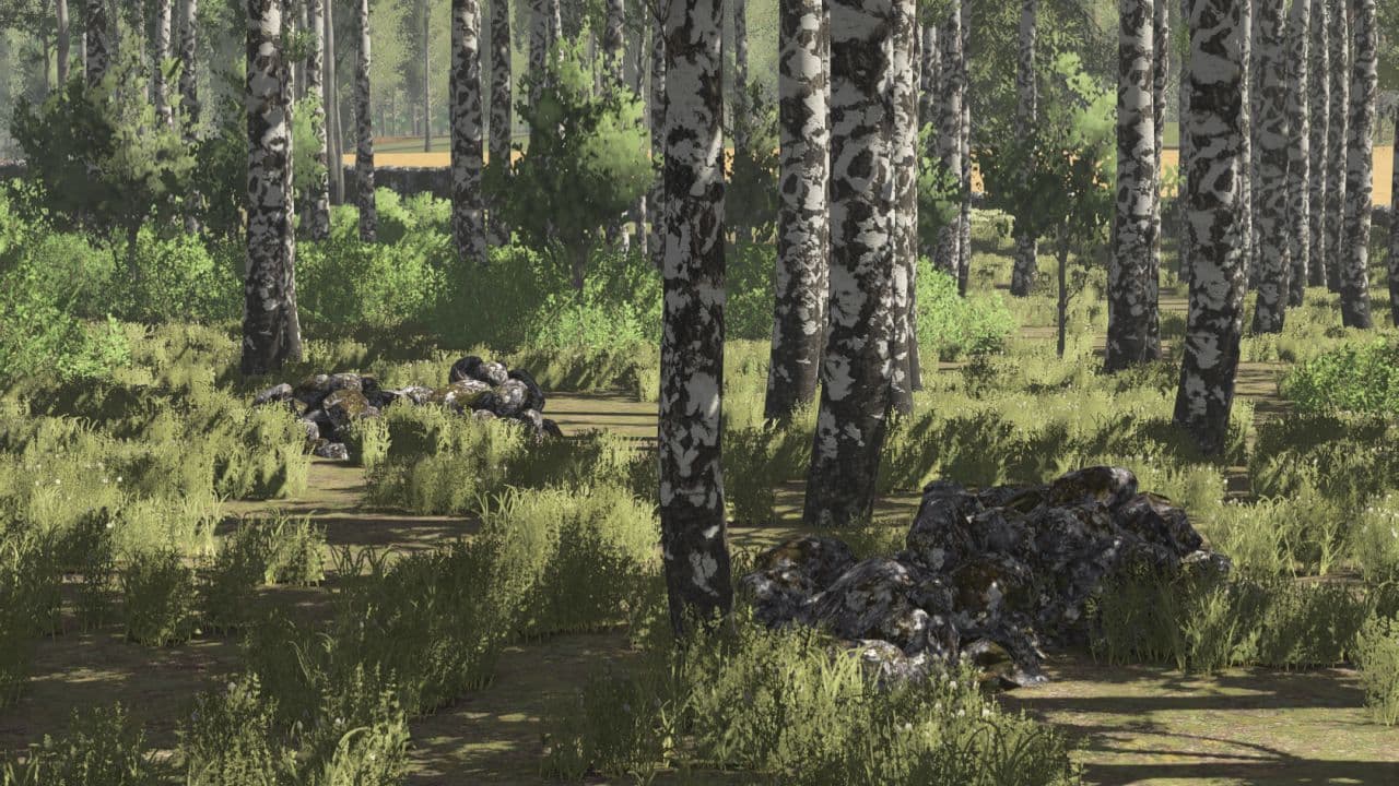 Pinewood Forest 2