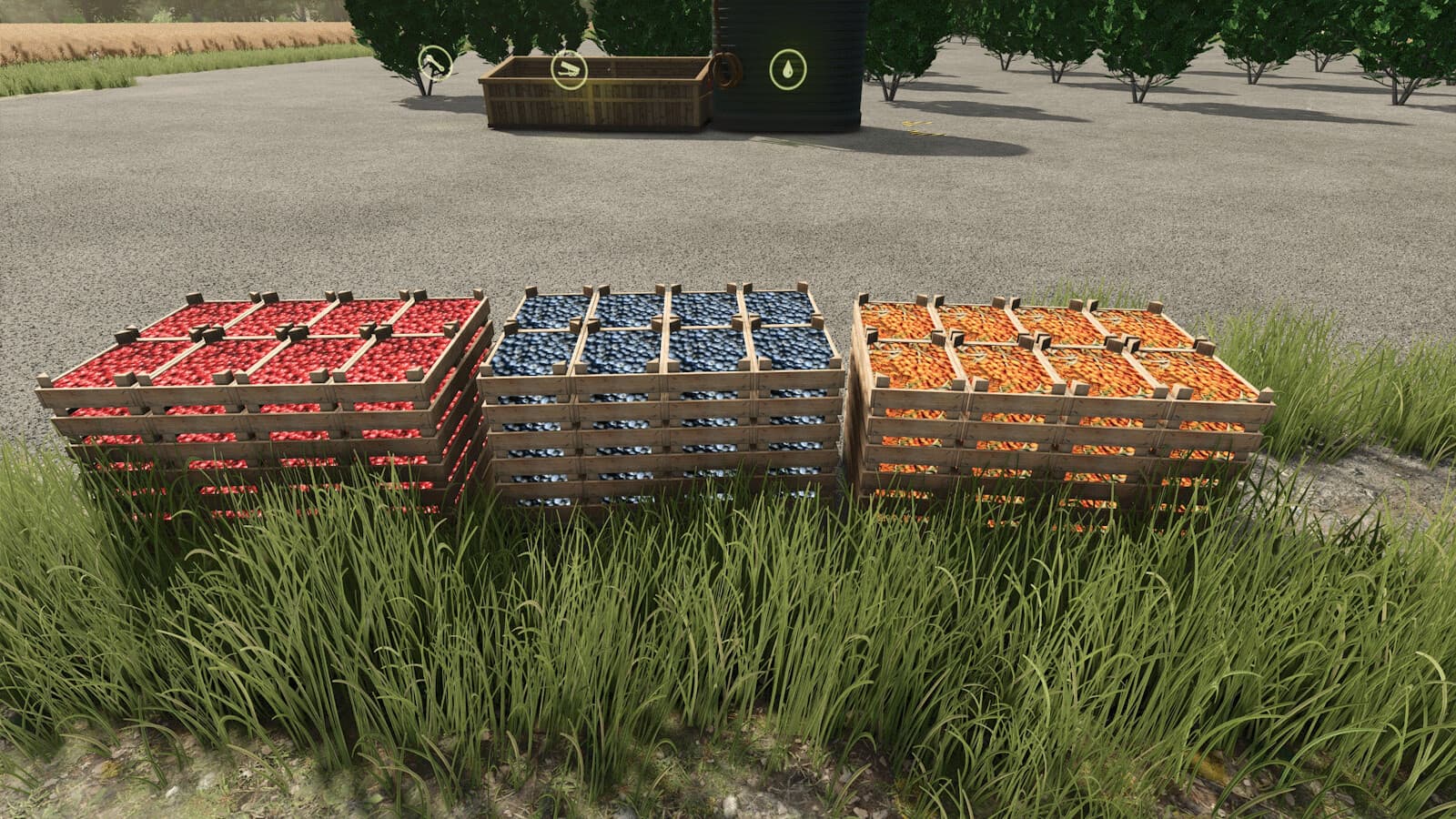 Plantations and fruit trees 2