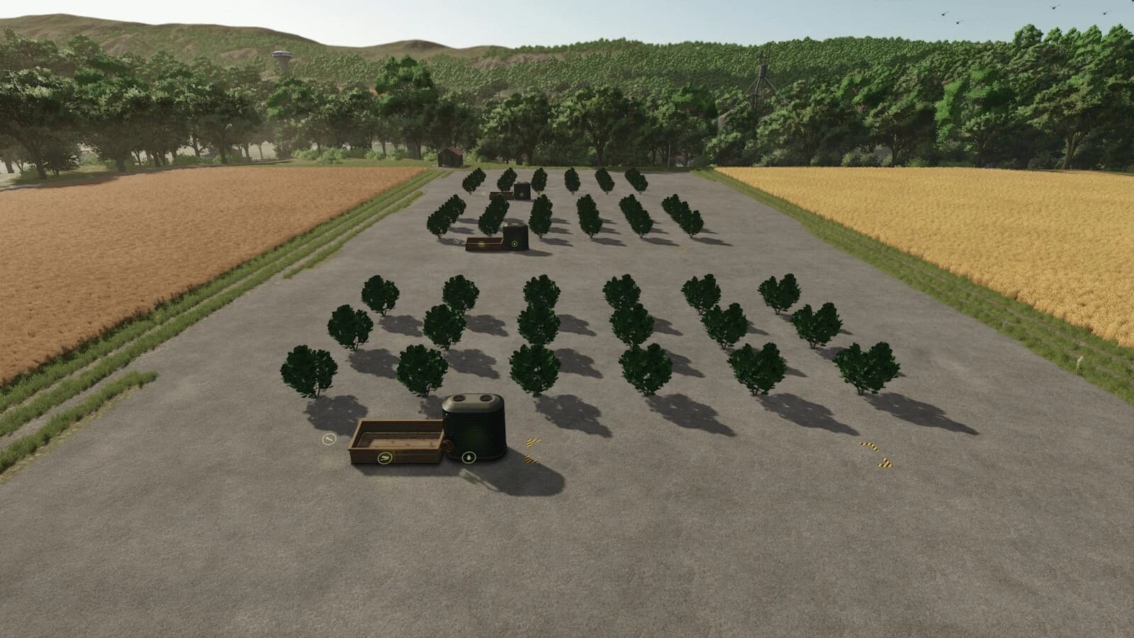 Plantations and fruit trees