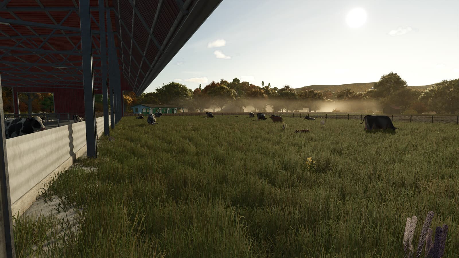 Realistic Livestock 6