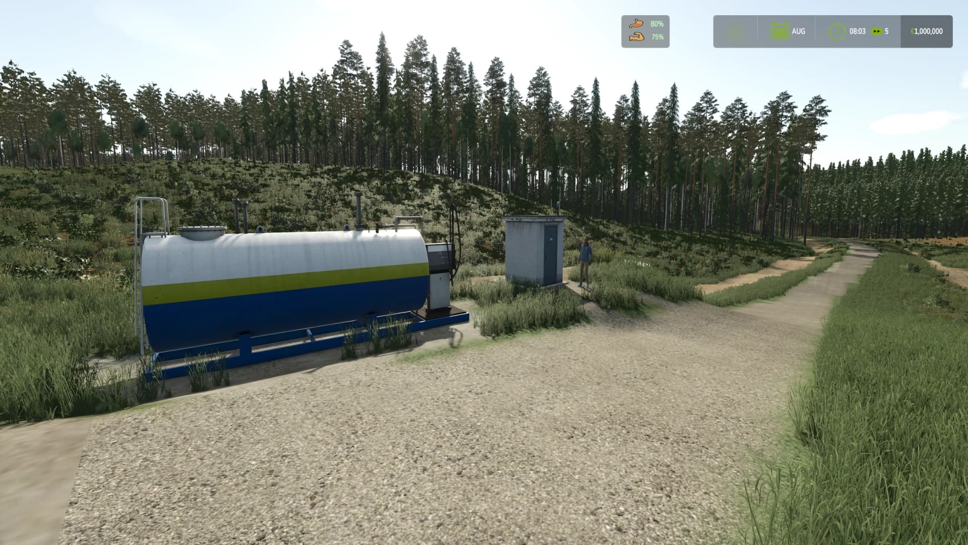 SCANDINAVIAN FOREST 4