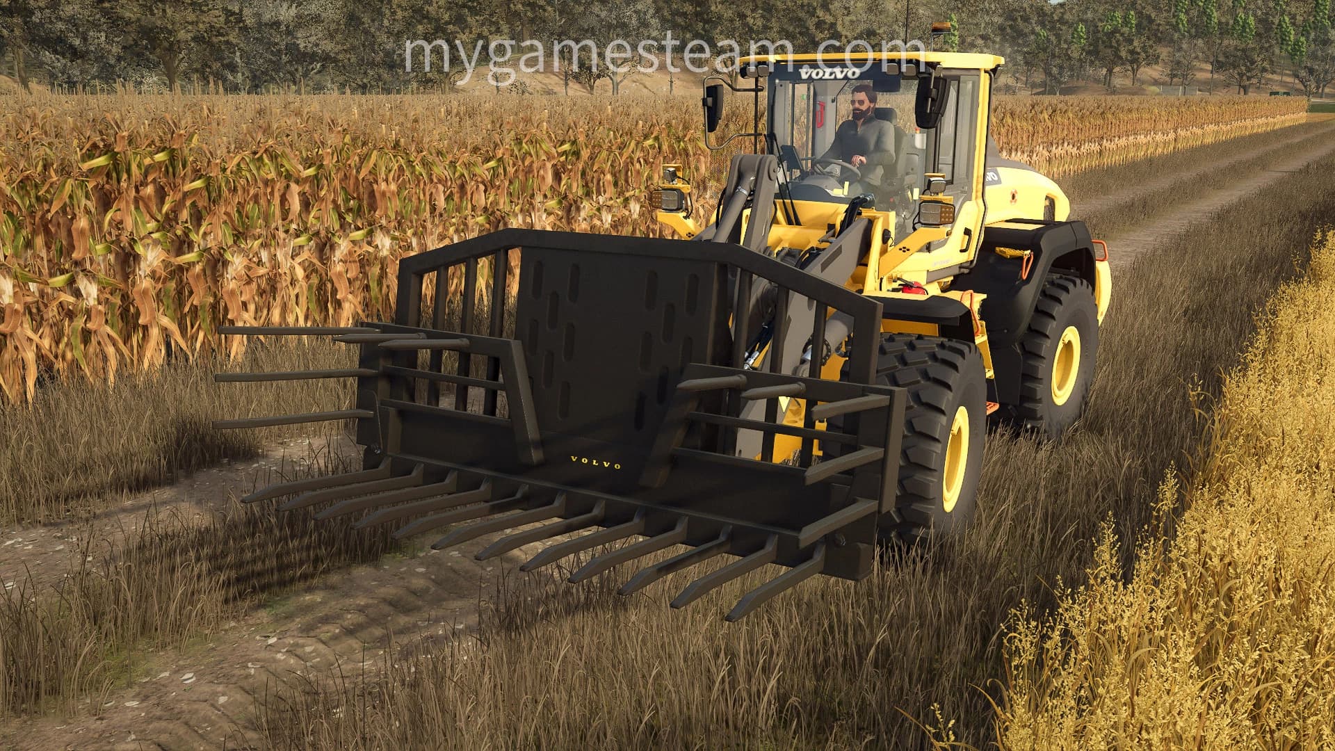 Silage Fork 3
