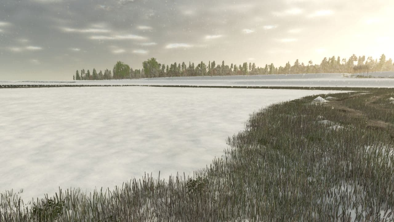 Snow Texture 2