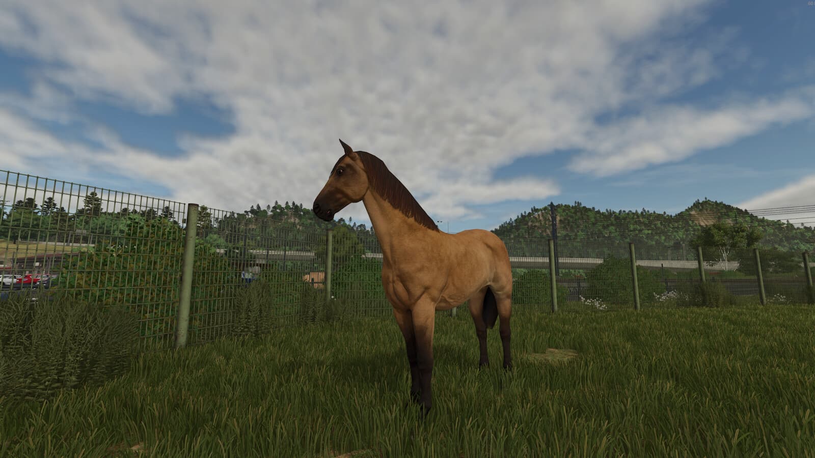 Stall Rental