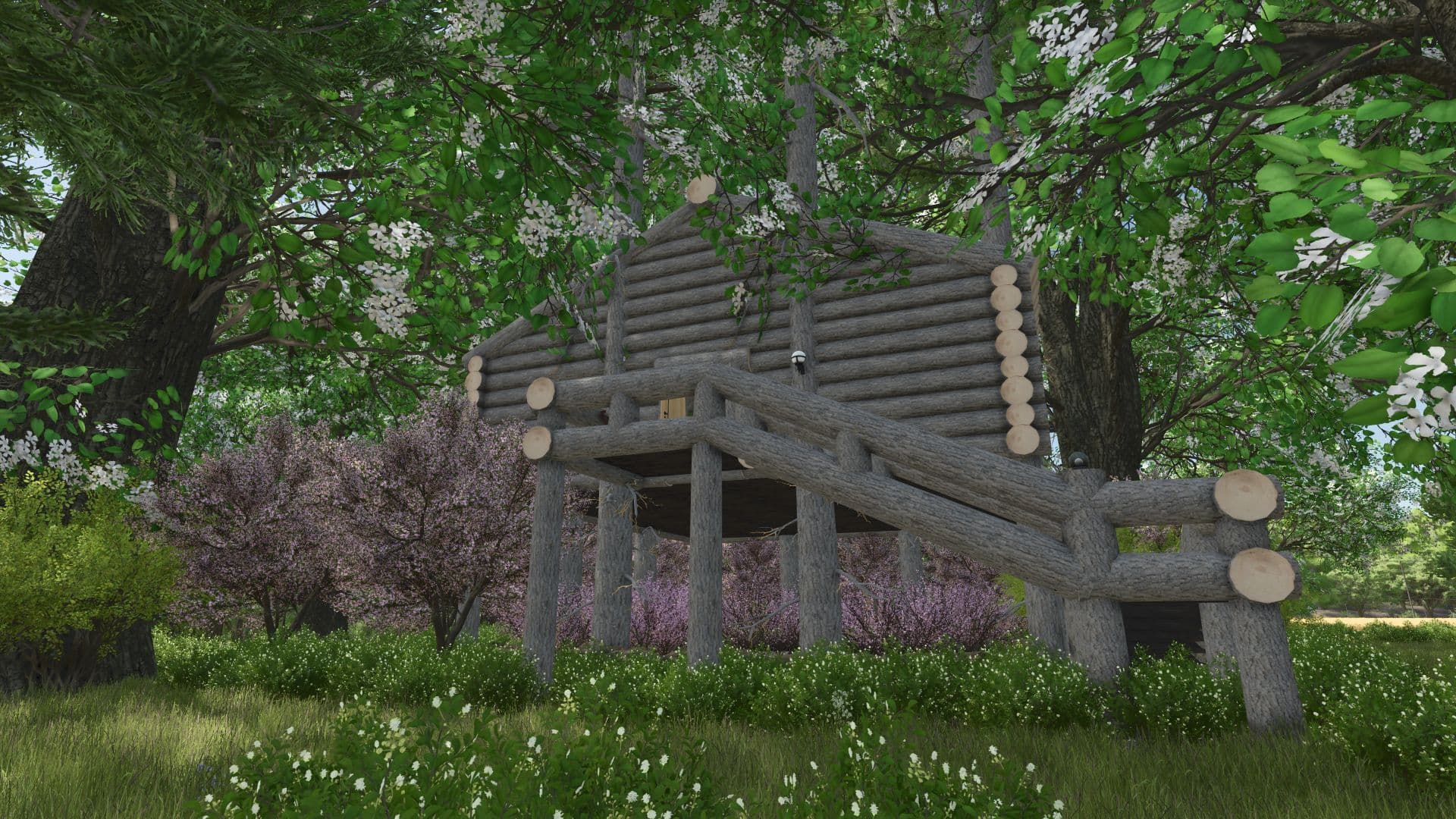 Tree house 4