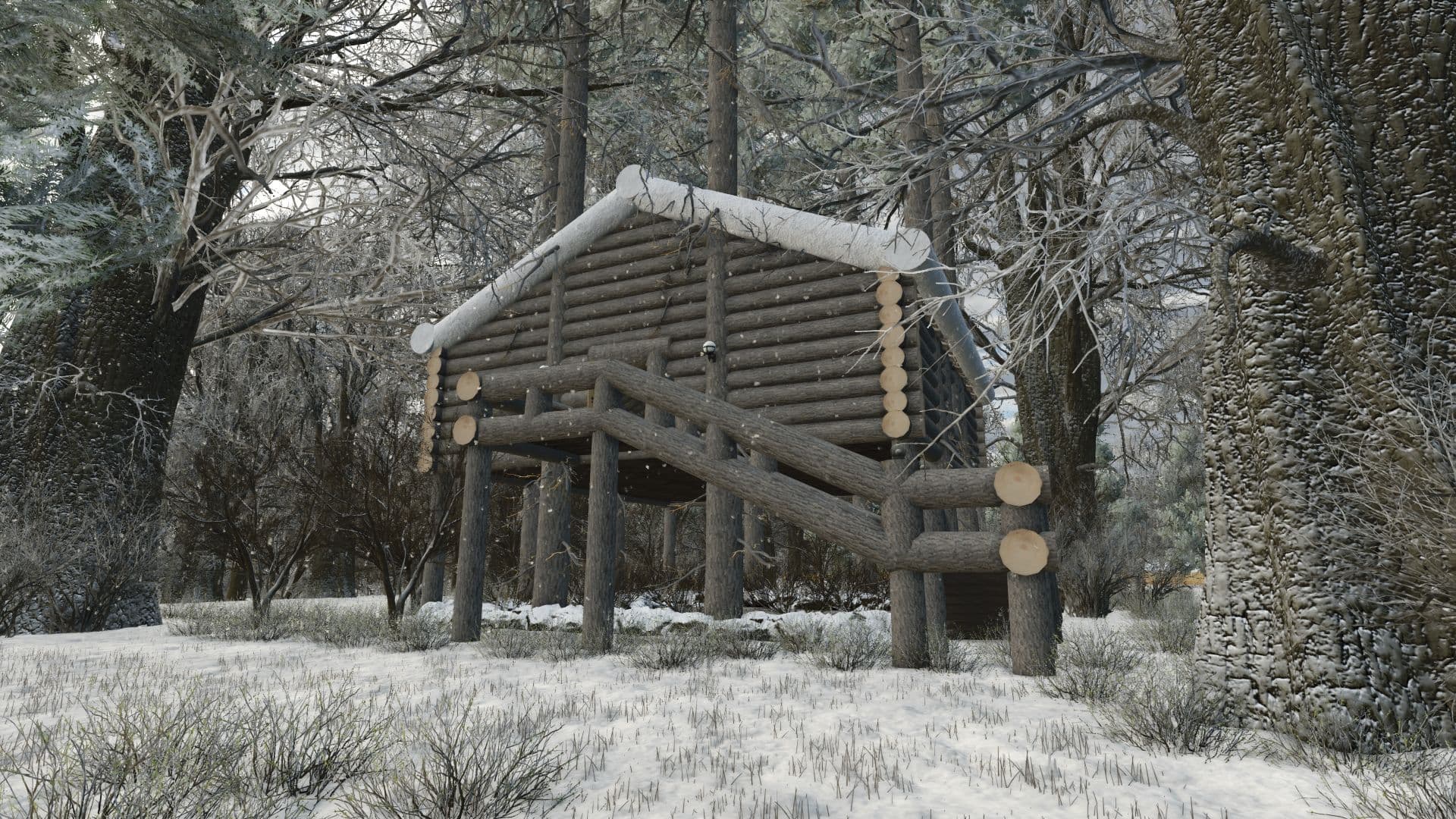 Tree house 2