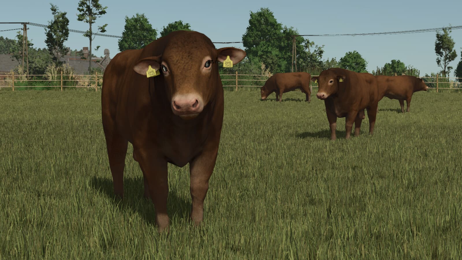 Animal Package Vanilla Edition 5