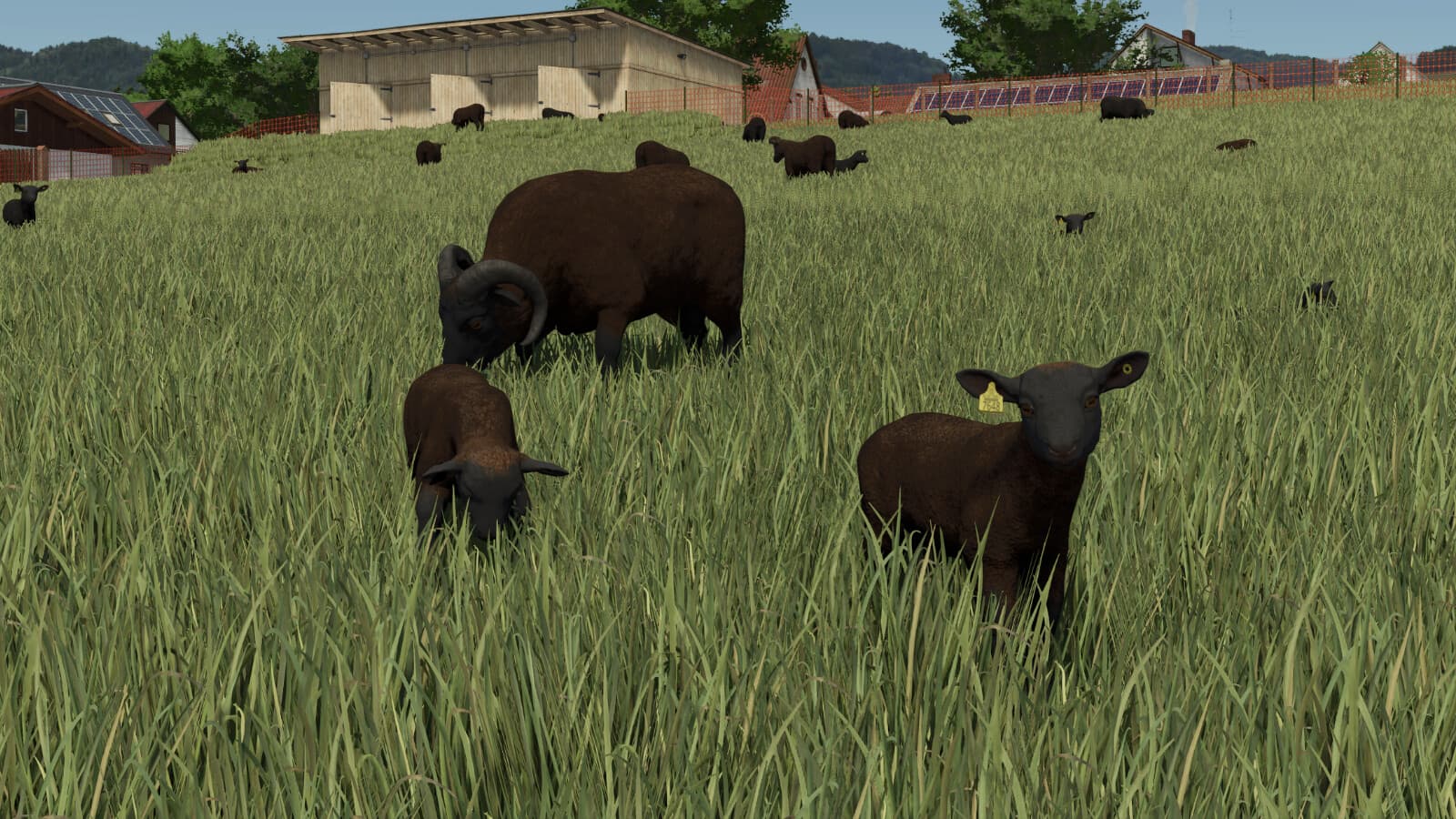Animal Package Vanilla Edition 4