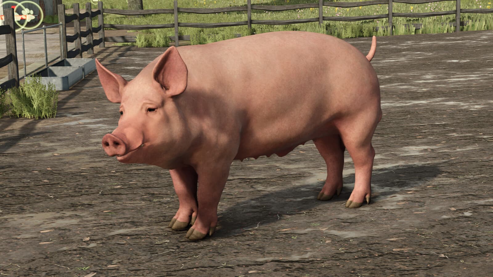 Animal Package Vanilla Edition 2