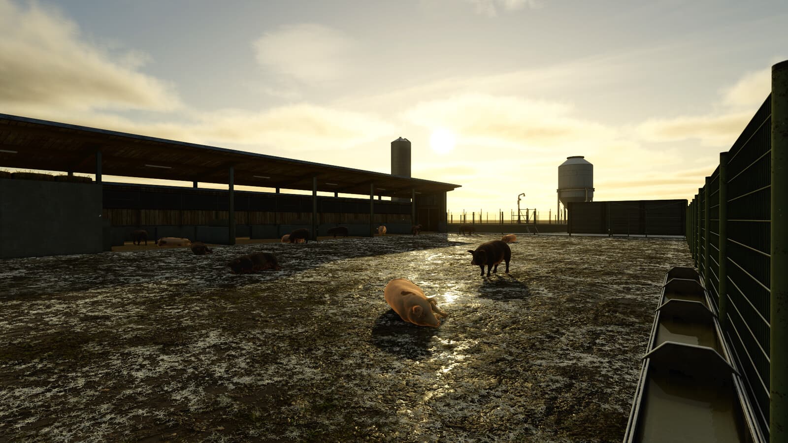 Animal Trader 5