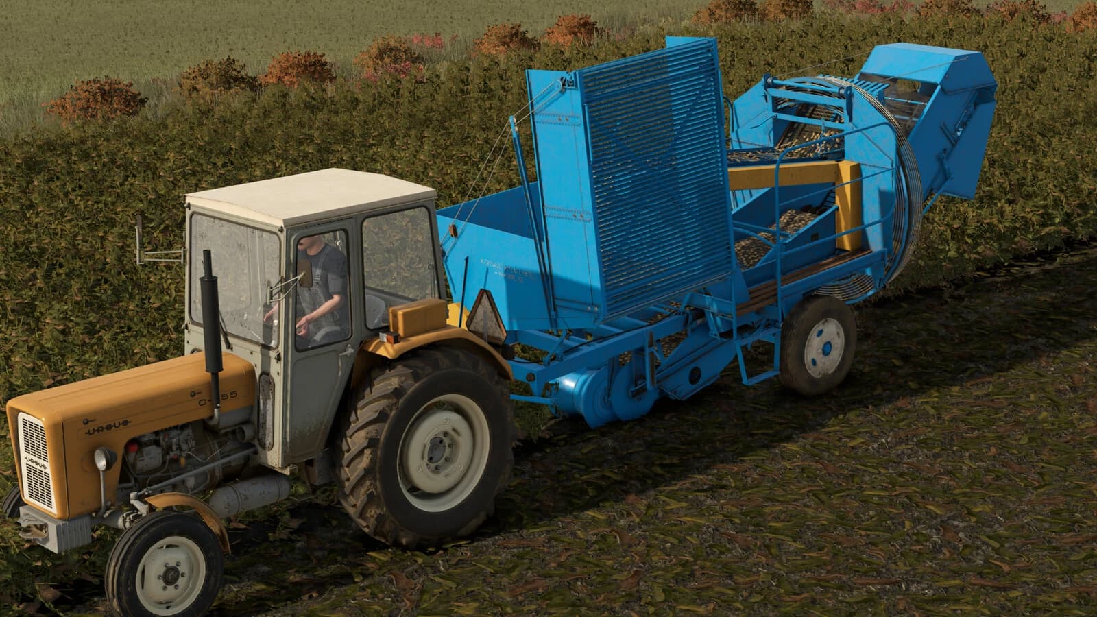 Anna Z644 v1.0