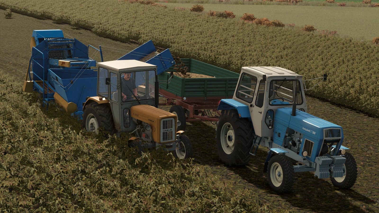 Anna Z644 v1.0 4