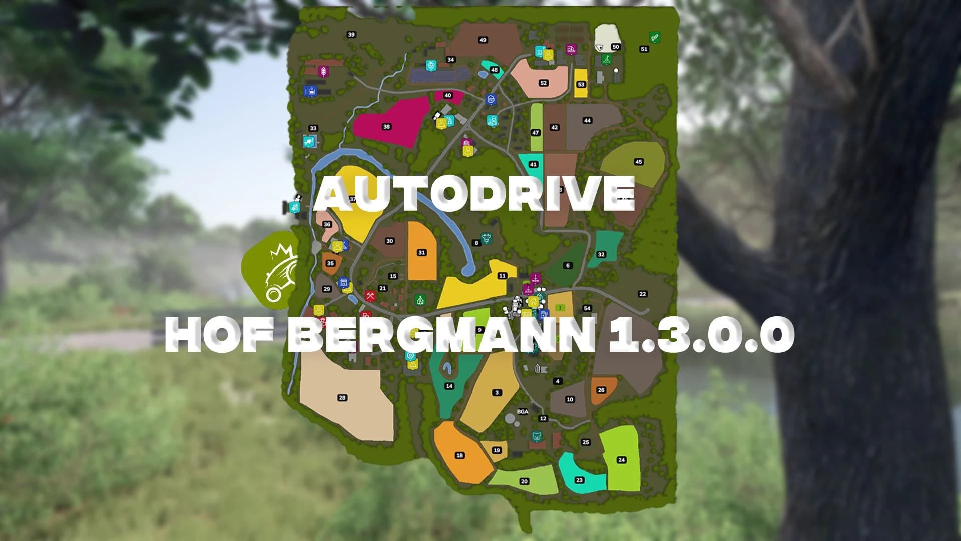 Autodrive Hof Bergmann