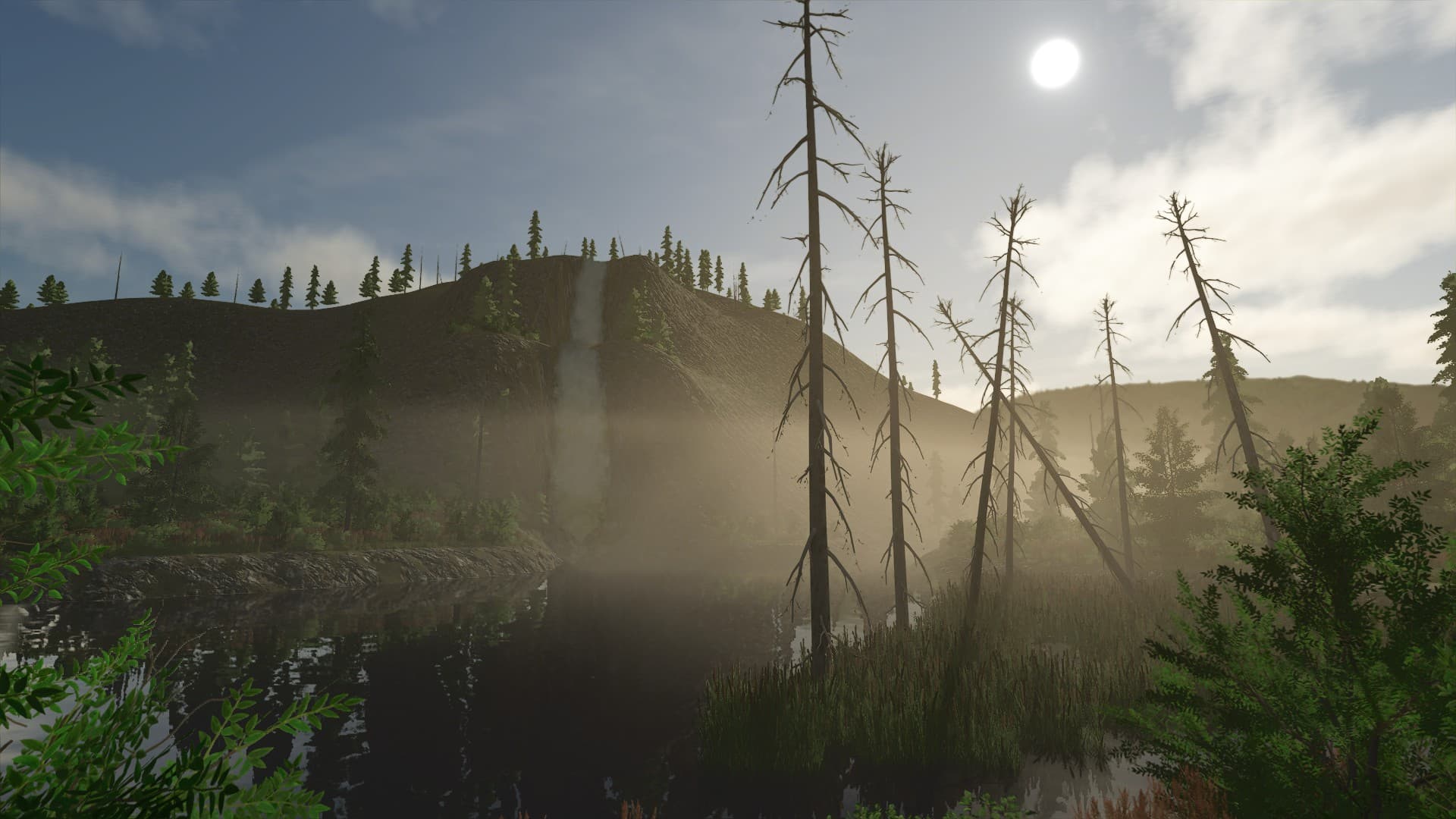 Back Country 5