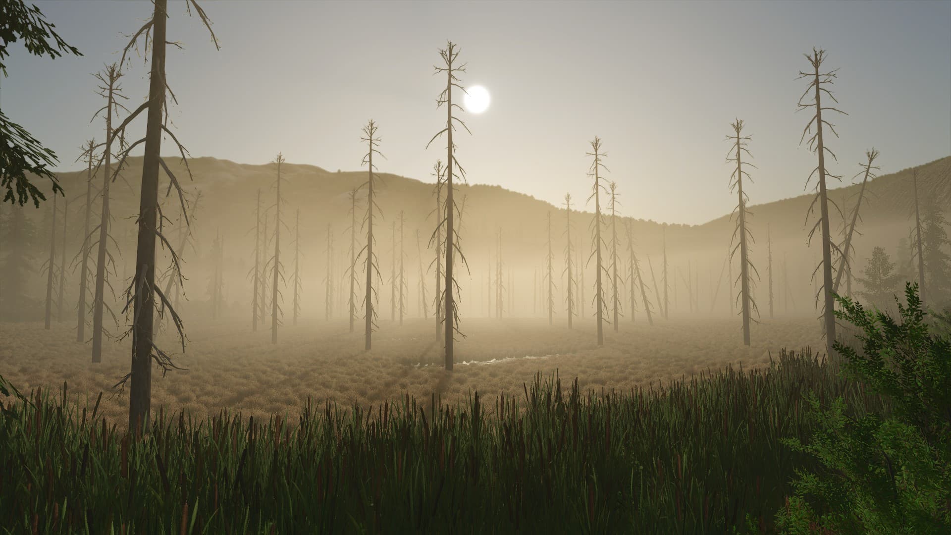 Back Country 4