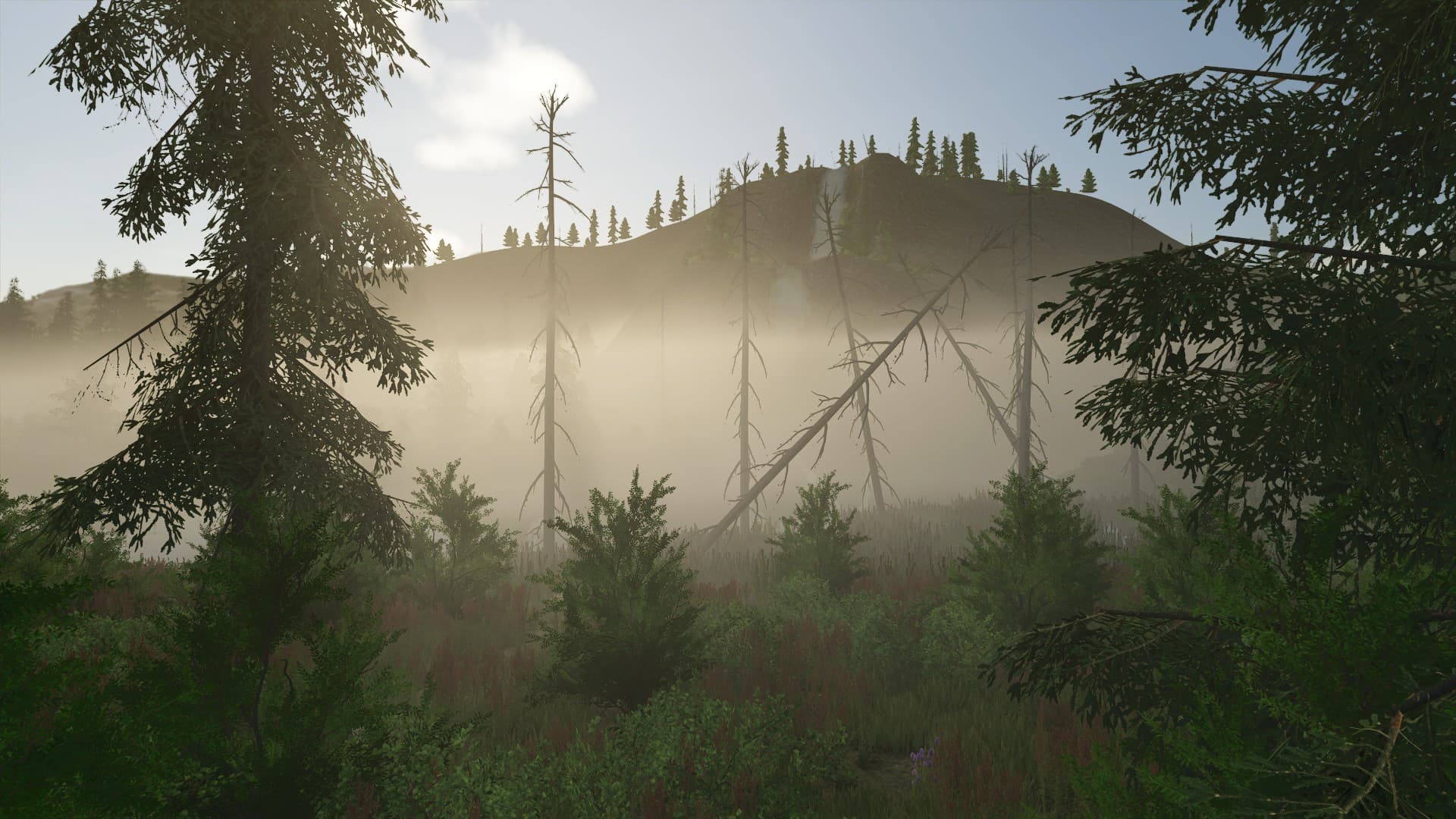 Back Country 3