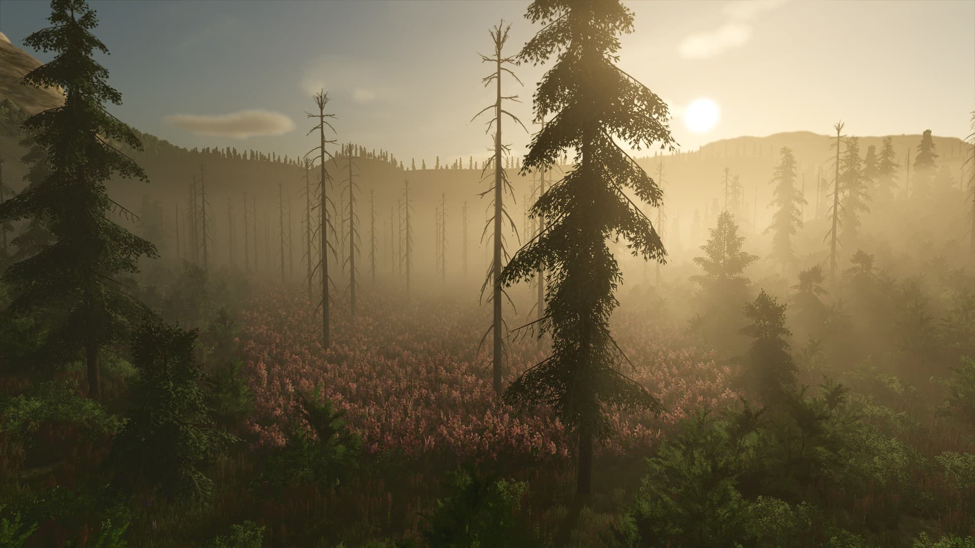 Back Country 2