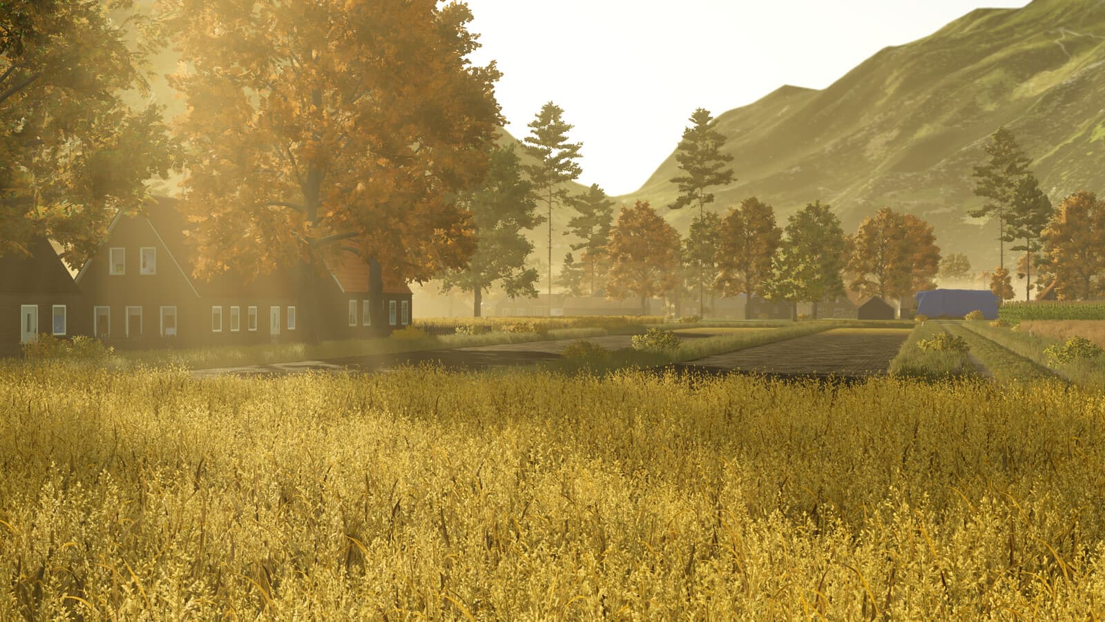 Bellingwolde 5