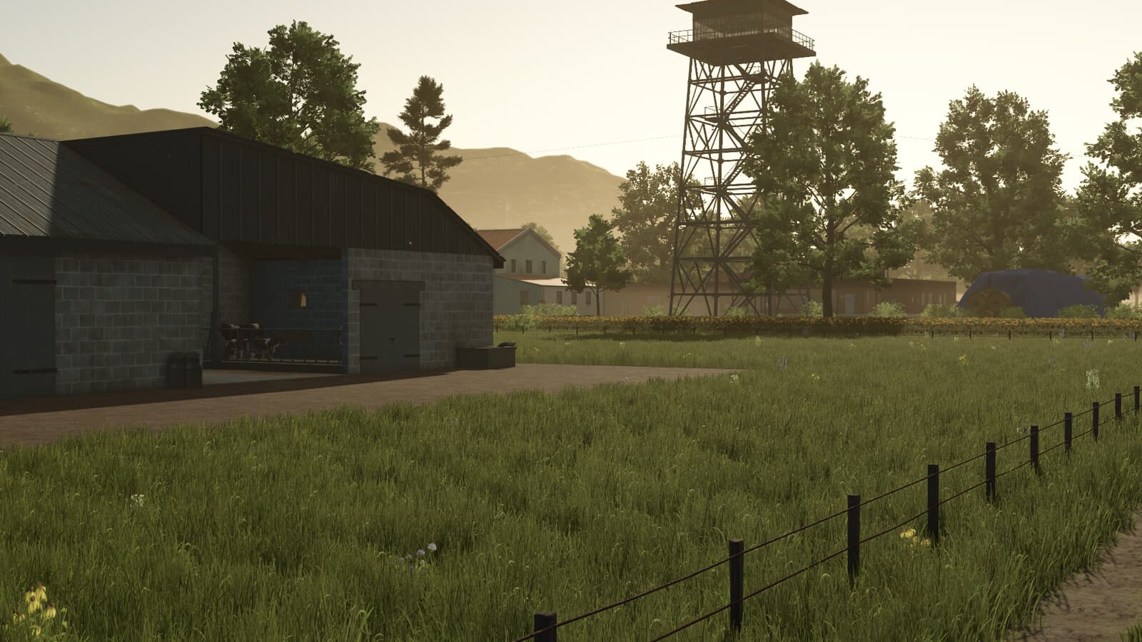 Bellingwolde 4