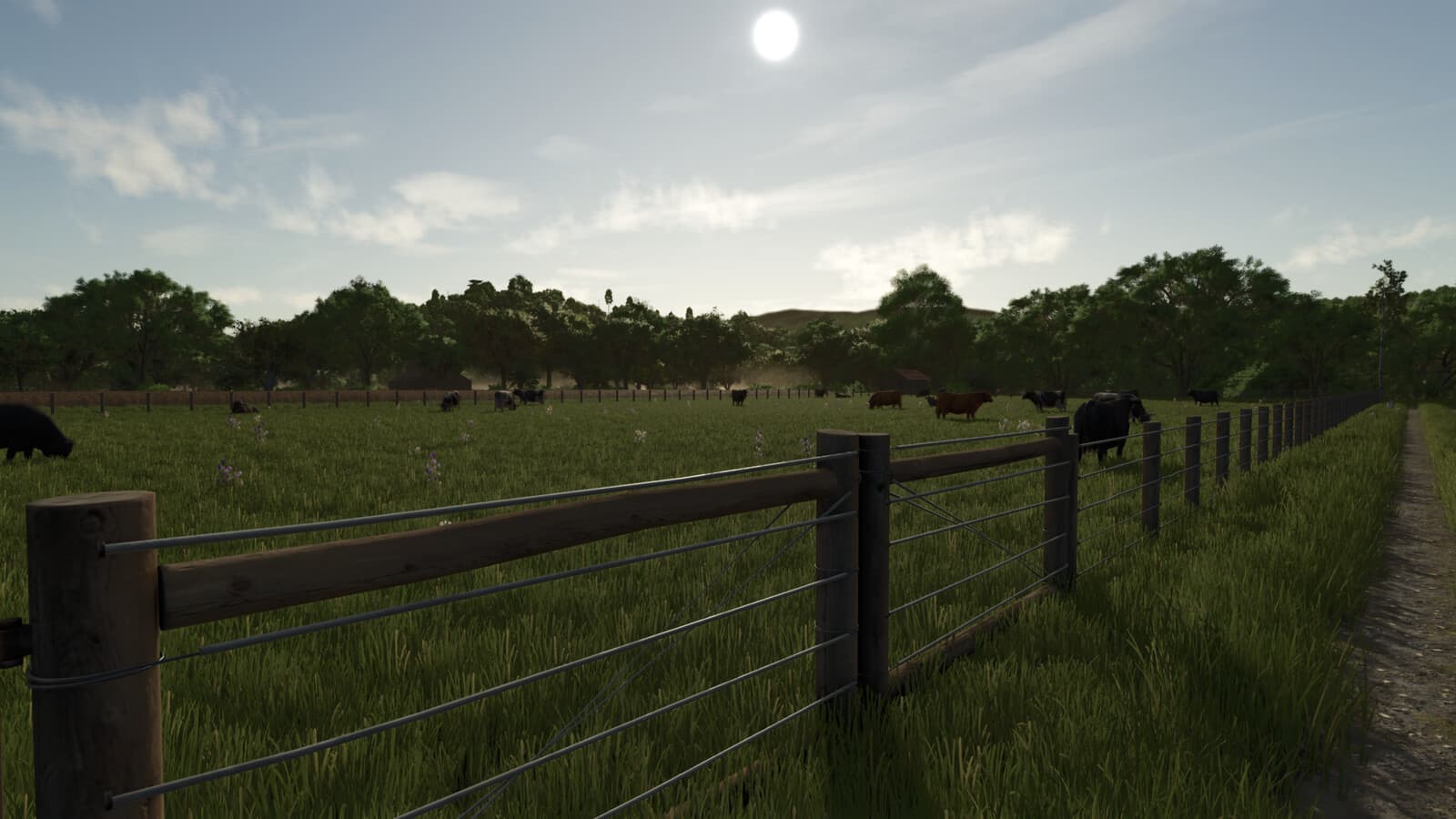 Bigger Animal Barns 3