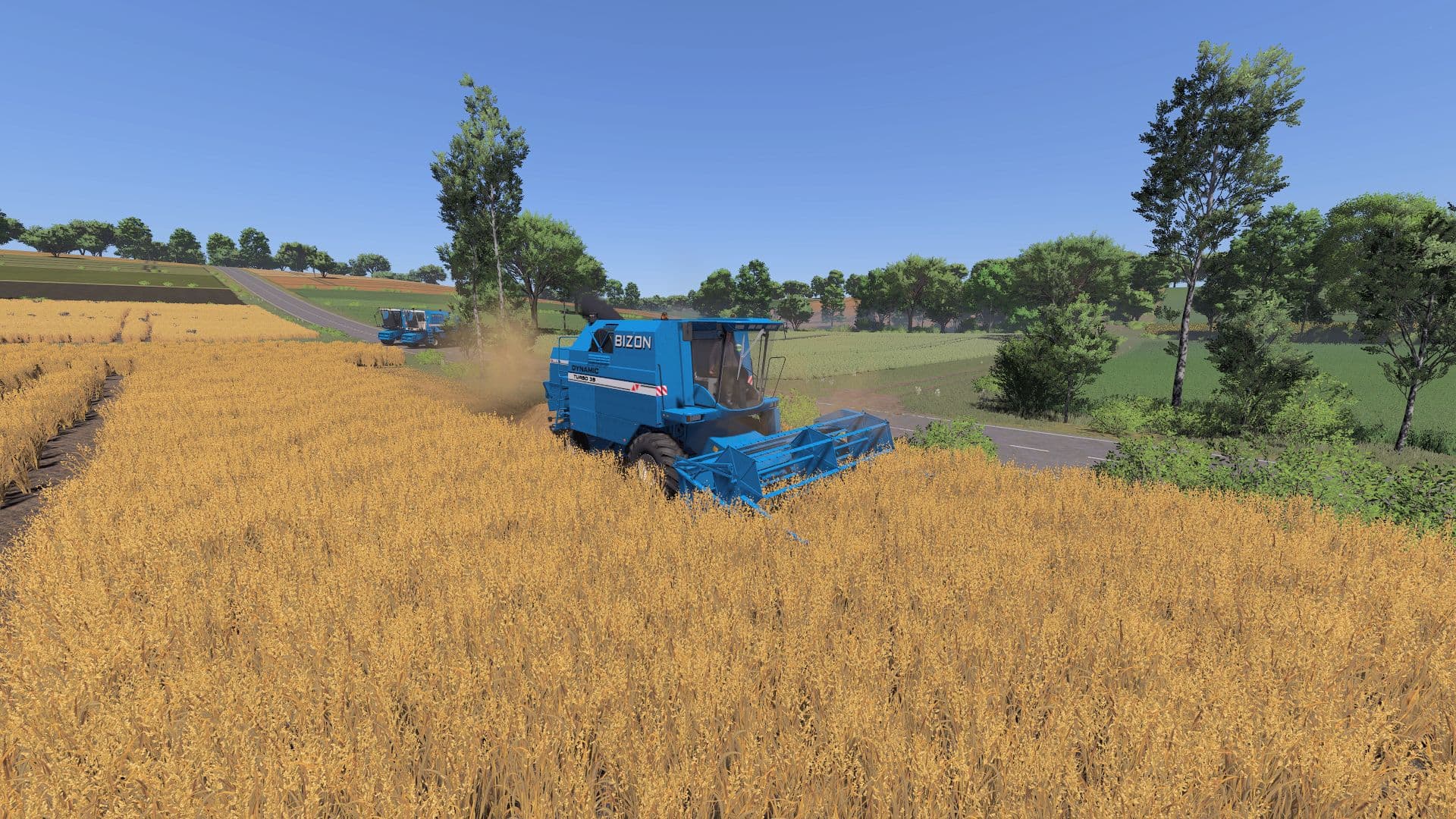 Bizon Dynamic 6