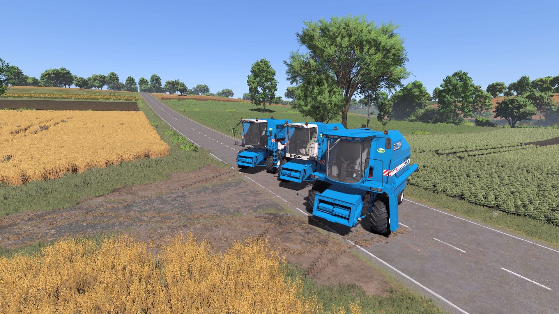 Bizon Dynamic 5