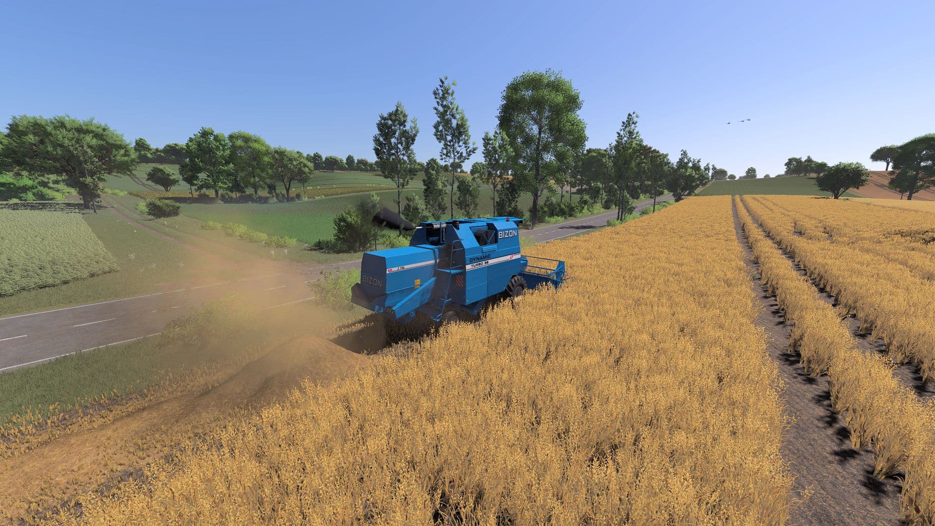 Bizon Dynamic 3