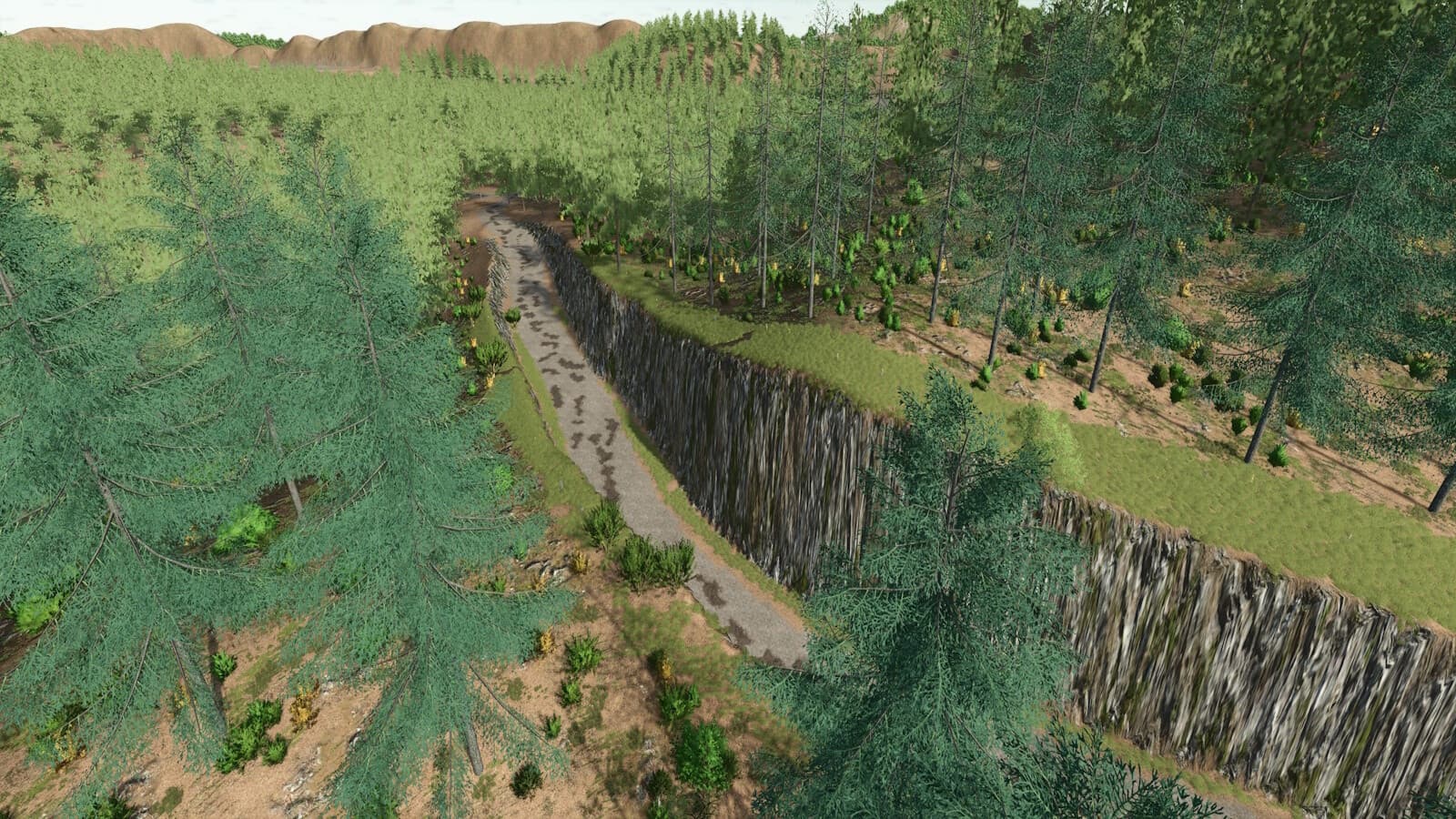 Blue Island Forest 4
