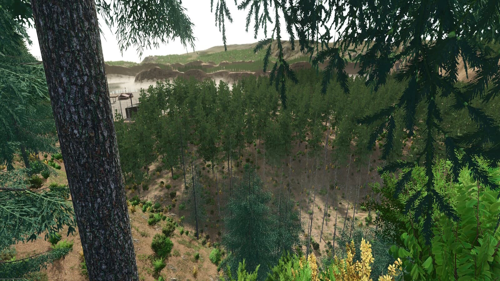 Blue Island Forest 2