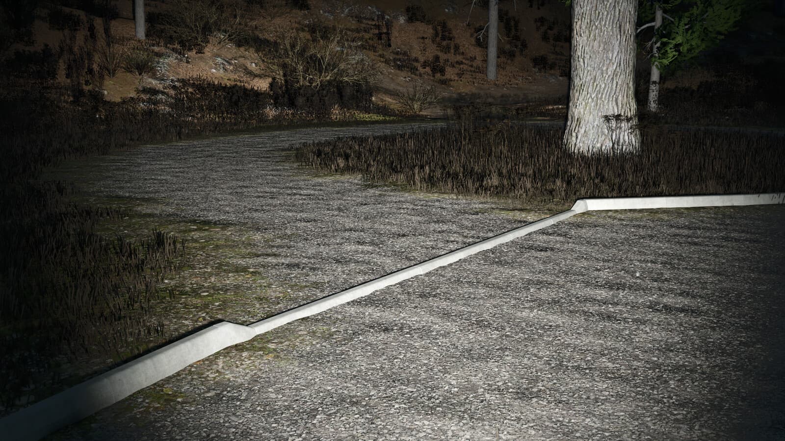 Concrete Curbs 6