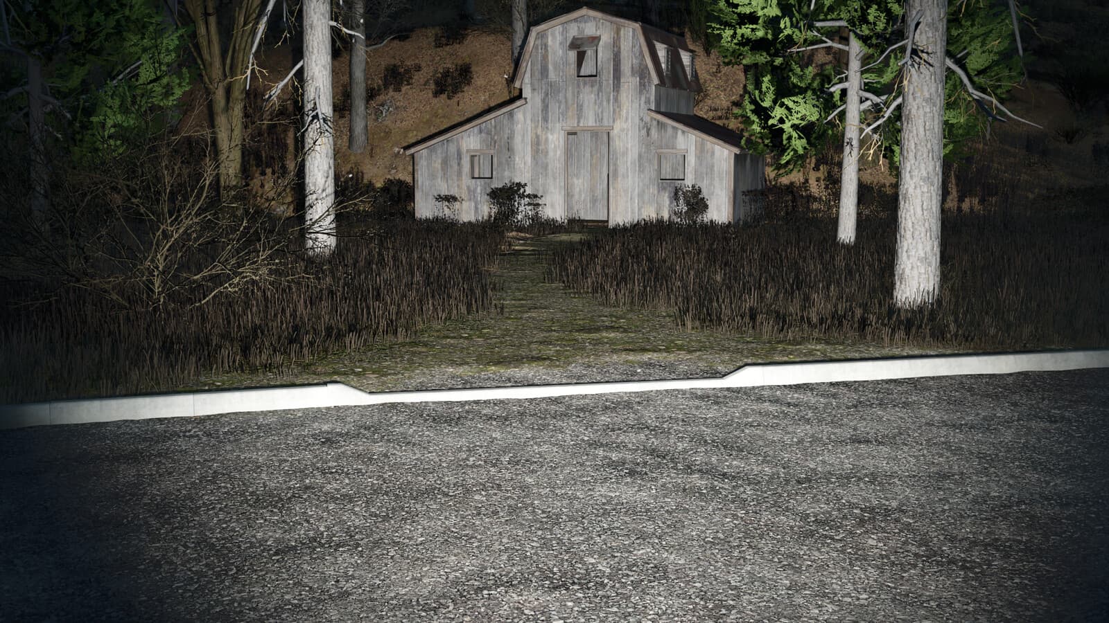 Concrete Curbs 5