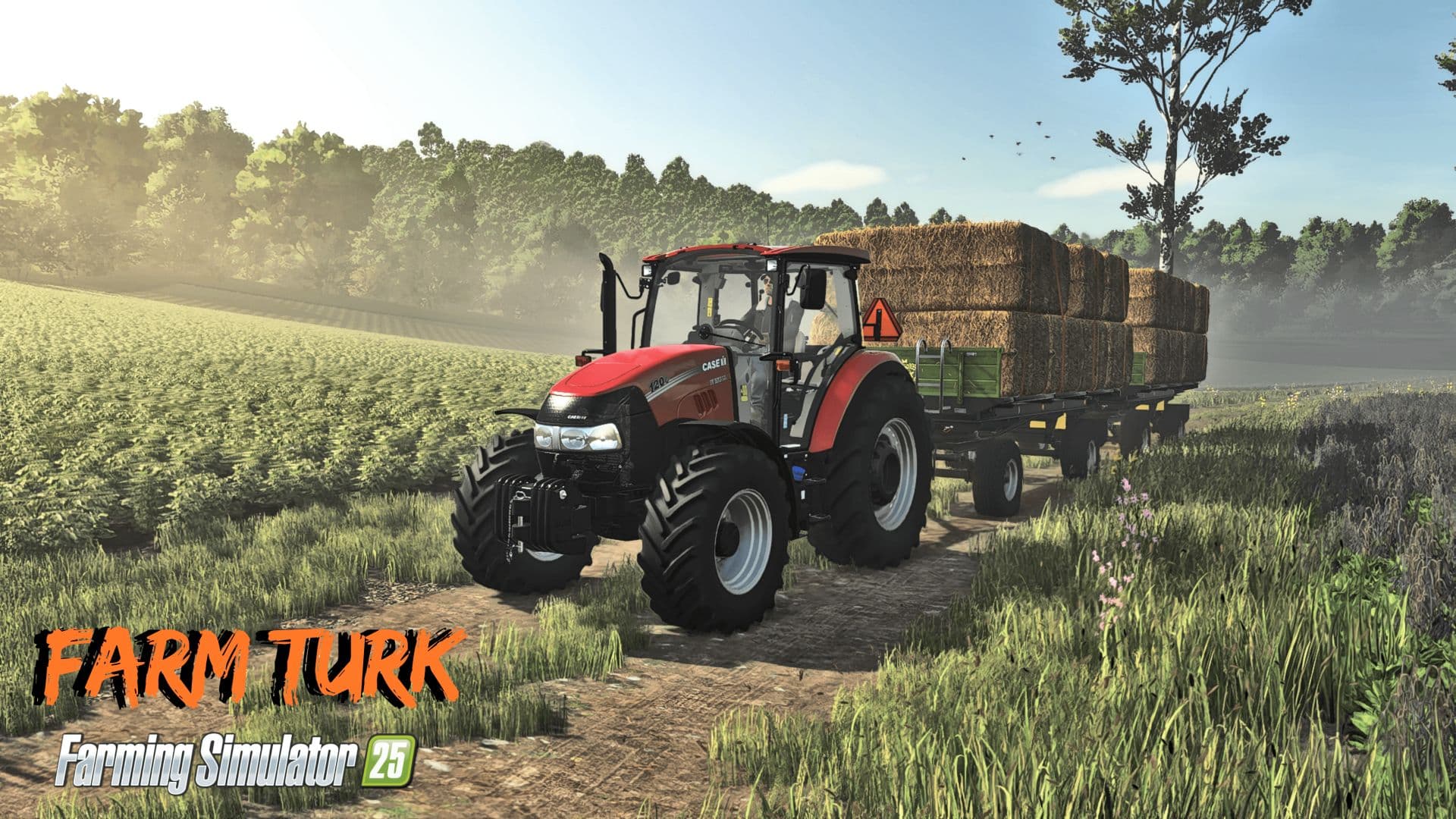 Farm Turk Map 6