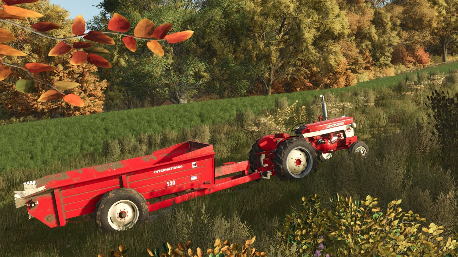 Farmall C family 6