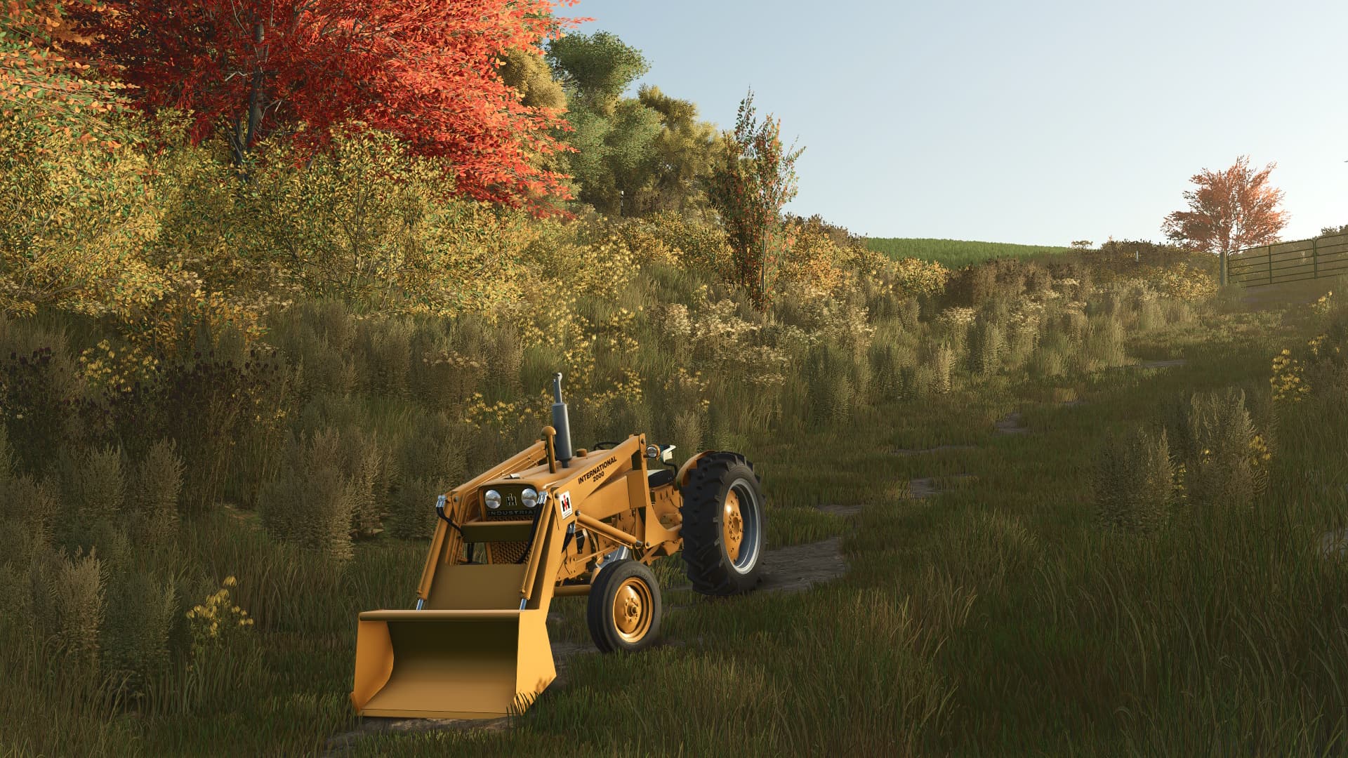 Farmall C family 3