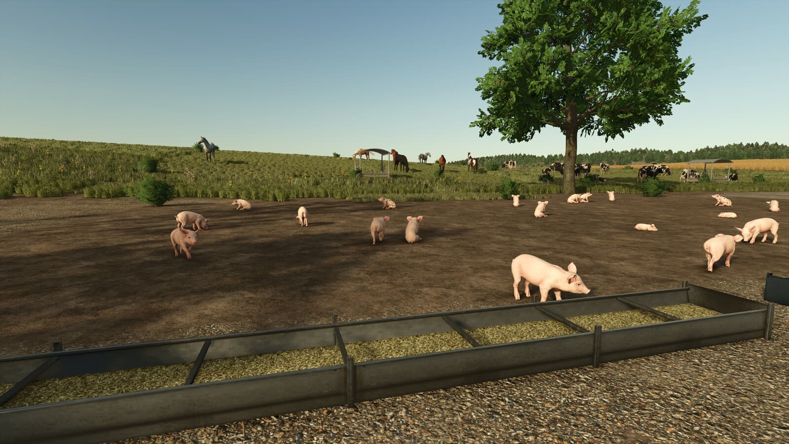 Fenceless Pastures 5