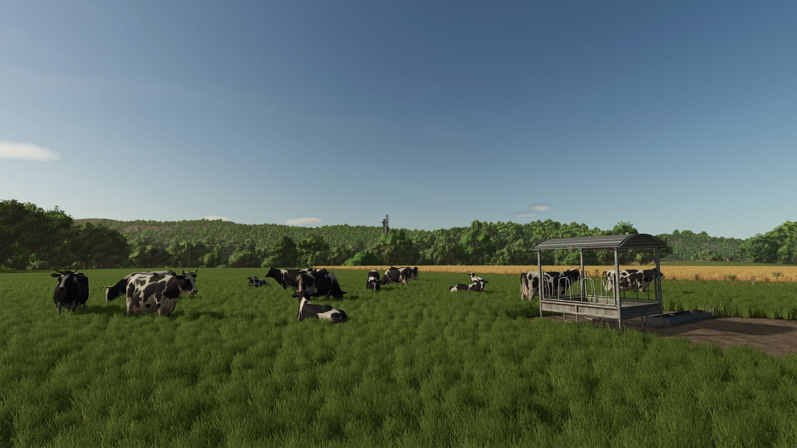 Fenceless Pastures 4
