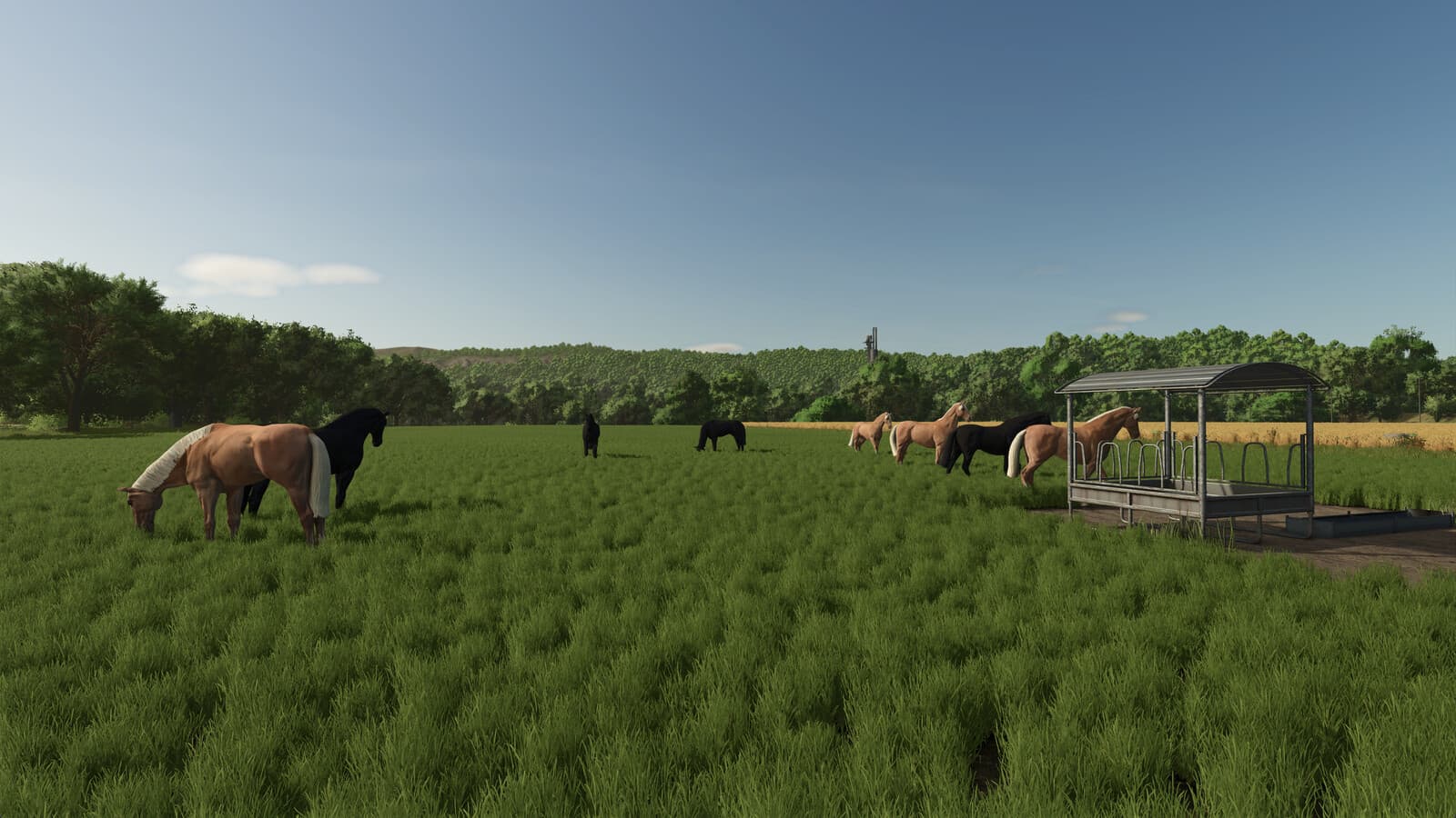 Fenceless Pastures 3