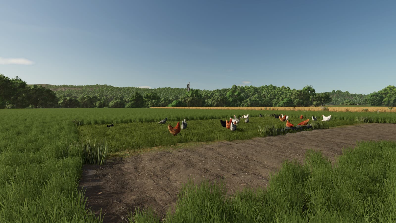 Fenceless Pastures 2