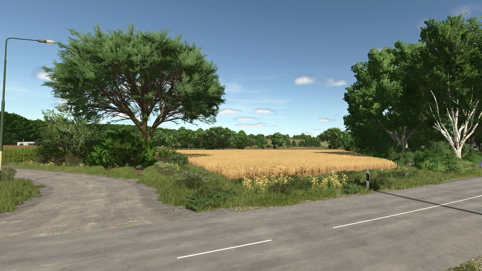 Fenyerpuszta 5